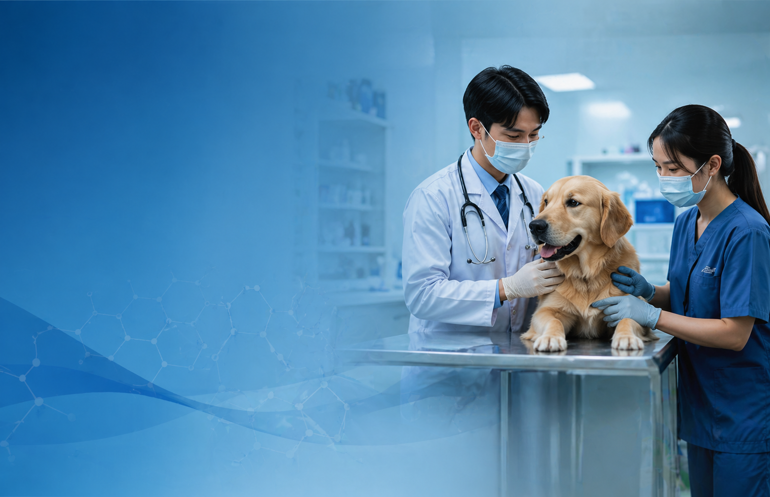Vet Science Background คณะสัตวแพทยศาสตร์ | Veterinary Science PBRU