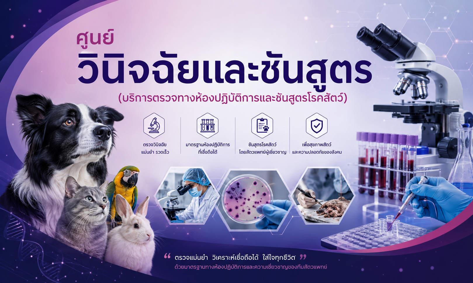 images service
